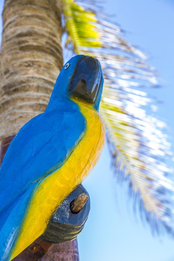 Pousada Cores Dos Corais Maracajaú 外观 照片